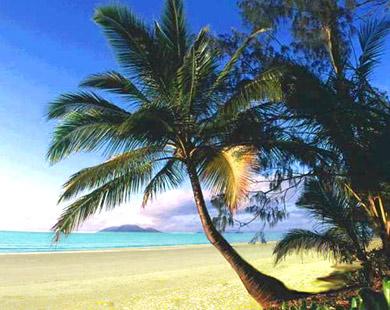 Voyage sur-mesure, Mission Beach